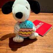 ヒメ日記 2025/03/30 17:34 投稿 みい 素人エロカワ小悪魔誘惑バニーガール