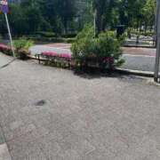 ヒメ日記 2025/05/07 13:33 投稿 みい 素人エロカワ小悪魔誘惑バニーガール