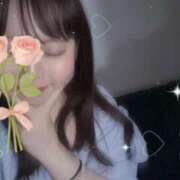 ヒメ日記 2025/09/04 18:31 投稿 みい 素人エロカワ小悪魔誘惑バニーガール