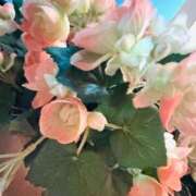 ヒメ日記 2026/02/01 04:03 投稿 みい 素人エロカワ小悪魔誘惑バニーガール