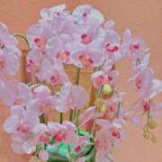 ヒメ日記 2026/04/16 22:15 投稿 みい 素人エロカワ小悪魔誘惑バニーガール