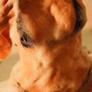 ヒメ日記 2025/09/01 18:41 投稿 ことは【「S」ディプロマ保持者】 天空のマット