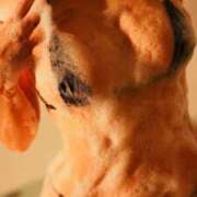 ヒメ日記 2025/11/24 16:21 投稿 ことは【「S」ディプロマ保持者】 天空のマット