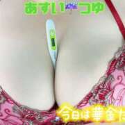 ヒメ日記 2025/02/28 14:56 投稿 蛙吹 BBW錦糸町店