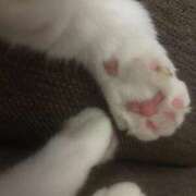 ヒメ日記 2025/04/04 11:50 投稿 なな 逆電車ごっこ ～GLAMOROUS TRAIN～