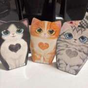 ヒメ日記 2026/02/27 22:40 投稿 なな 逆電車ごっこ ～GLAMOROUS TRAIN～