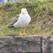 ヒメ日記 2026/04/26 11:30 投稿 なな 逆電車ごっこ ～GLAMOROUS TRAIN～