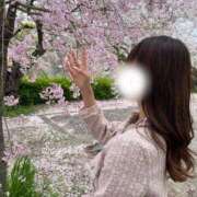 ヒメ日記 2025/04/05 18:23 投稿 そよか スピード梅田店