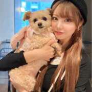 ヒメ日記 2025/03/29 19:10 投稿 紅音サラ ウルトラプラチナム