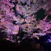 ヒメ日記 2025/04/08 20:21 投稿 琴峰りりか ウルトラプラチナム