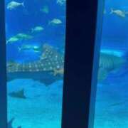 ヒメ日記 2025/06/02 12:03 投稿 琴峰りりか ウルトラプラチナム