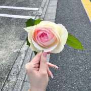 ヒメ日記 2025/11/16 12:36 投稿 琴峰りりか ウルトラプラチナム