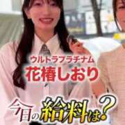 ヒメ日記 2026/04/24 07:11 投稿 花椿しおり ウルトラプラチナム