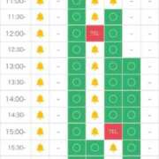 琴音みれい 💗完売💗 ウルトラプラチナム