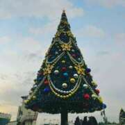 ヒメ日記 2024/12/14 09:41 投稿 夏音こうき ウルトラプラチナム