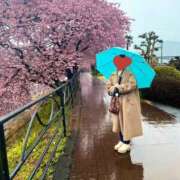 ヒメ日記 2025/03/04 09:26 投稿 夏音こうき ウルトラプラチナム