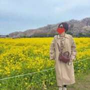 ヒメ日記 2025/04/07 07:41 投稿 夏音こうき ウルトラプラチナム