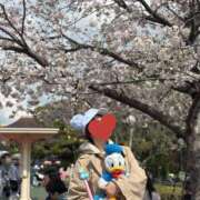 ヒメ日記 2025/04/09 09:21 投稿 夏音こうき ウルトラプラチナム