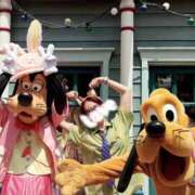 ヒメ日記 2025/06/06 09:24 投稿 夏音こうき ウルトラプラチナム