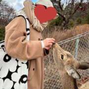 ヒメ日記 2025/12/20 09:41 投稿 夏音こうき ウルトラプラチナム