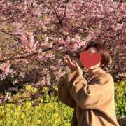 ヒメ日記 2026/02/19 09:41 投稿 夏音こうき ウルトラプラチナム