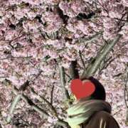 ヒメ日記 2026/02/22 09:41 投稿 夏音こうき ウルトラプラチナム