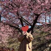 ヒメ日記 2026/02/23 06:51 投稿 夏音こうき ウルトラプラチナム