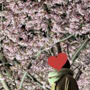 ヒメ日記 2026/03/08 09:41 投稿 夏音こうき ウルトラプラチナム