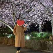ヒメ日記 2026/03/09 10:03 投稿 夏音こうき ウルトラプラチナム