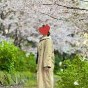 ヒメ日記 2026/04/03 09:41 投稿 夏音こうき ウルトラプラチナム