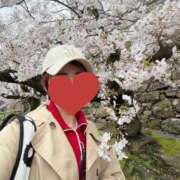 ヒメ日記 2026/04/06 11:39 投稿 夏音こうき ウルトラプラチナム