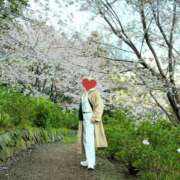 ヒメ日記 2026/04/07 09:12 投稿 夏音こうき ウルトラプラチナム