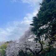 ヒメ日記 2025/04/14 20:55 投稿 平子りま ウルトラプラチナム