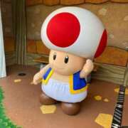 ヒメ日記 2025/03/17 06:31 投稿 森永あいす ウルトラプラチナム