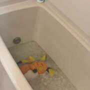 ヒメ日記 2025/04/24 21:02 投稿 森永あいす ウルトラプラチナム