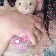 ヒメ日記 2025/01/25 13:50 投稿 ゆめか【変態育成ブリーダー】 五反田痴女性感フェチ倶楽部