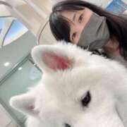 ヒメ日記 2025/02/24 15:50 投稿 ゆめか【変態育成ブリーダー】 五反田痴女性感フェチ倶楽部