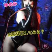 ヒメ日記 2025/05/17 14:22 投稿 ゆめか【変態育成ブリーダー】 五反田痴女性感フェチ倶楽部