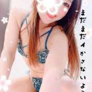 ヒメ日記 2025/04/01 12:50 投稿 りのあ【甘サド女王君臨】 五反田痴女性感フェチ倶楽部