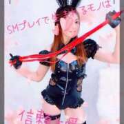 ヒメ日記 2025/05/31 12:30 投稿 りのあ【甘サド女王君臨】 五反田痴女性感フェチ倶楽部