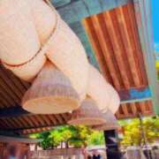 明歩【 唯一無二の女神のテク】 さっそくのお誘いありがとう 五反田痴女性感フェチ倶楽部