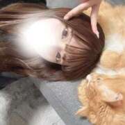 ヒメ日記 2026/02/06 12:23 投稿 りな 経験極浅美パイパン才女 L＆Jブラザーズ