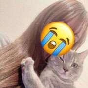 ヒメ日記 2026/04/30 16:53 投稿 りな 経験極浅美パイパン才女 L＆Jブラザーズ