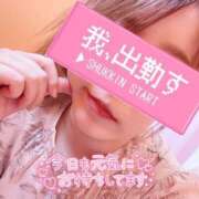 ヒメ日記 2025/04/27 12:49 投稿 かすみ One More 奥様　五反田店