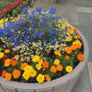 ヒメ日記 2025/05/12 14:37 投稿 かすみ One More 奥様　五反田店