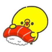 ヒメ日記 2025/02/25 15:34 投稿 ウミ【新人】【宮崎っ子】 Alice