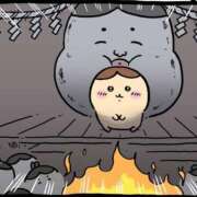 ヒメ日記 2025/02/28 22:48 投稿 ウミ【新人】【宮崎っ子】 Alice