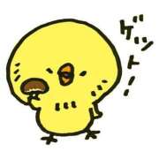 ヒメ日記 2025/03/08 18:08 投稿 ウミ【新人】【宮崎っ子】 Alice