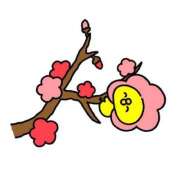 ヒメ日記 2025/03/20 21:19 投稿 ウミ【新人】【宮崎っ子】 Alice