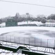 ヒメ日記 2025/03/19 10:28 投稿 わかな やMAT撫子